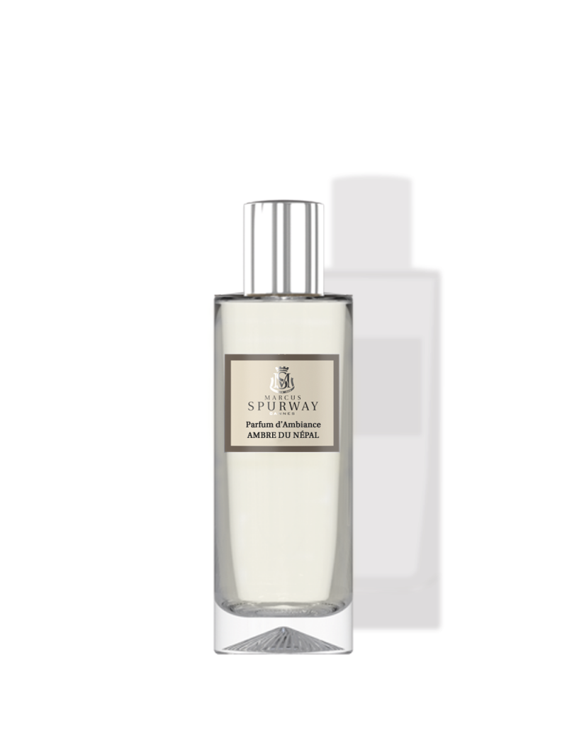 Parfum d'Ambiance Ambre du...